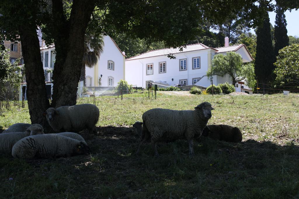 Eugaria Country House By Lost Lisbon Sintra Luaran gambar